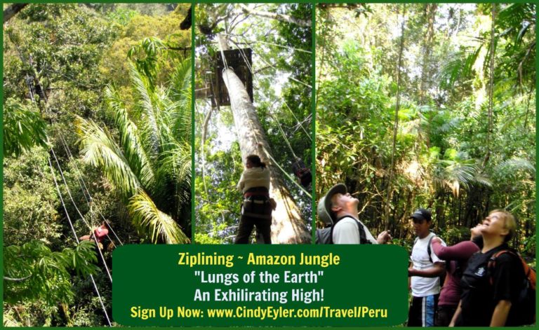 Amazon Jungle Ziplining Peru Spiritual Journey Cindy Eyler