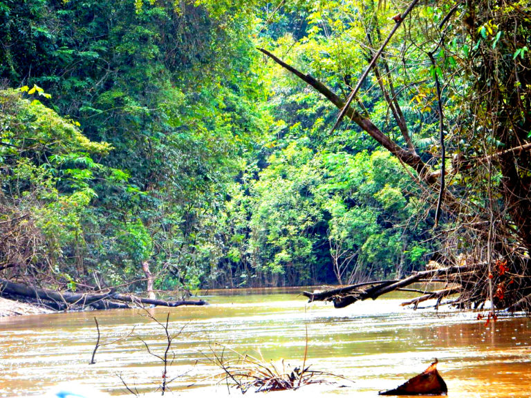 Amazon River Peru Spiritual Journey Cindy Eyler